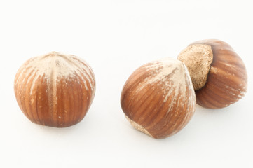 hazelnuts