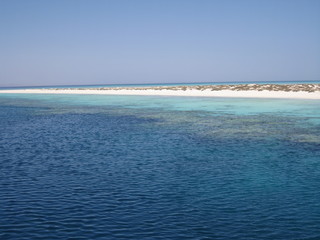 Fototapeta na wymiar Barriera corallina
