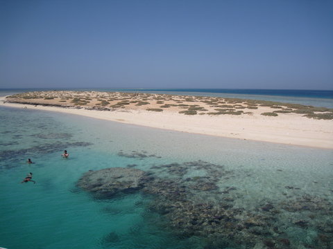 Barriera corallina