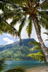 Moorea, 2011