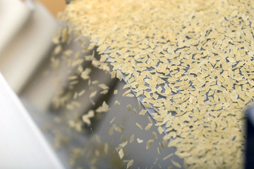 Pasta production line