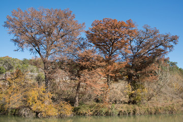 Guadalupe River State Park