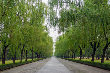 Allee bei Peking