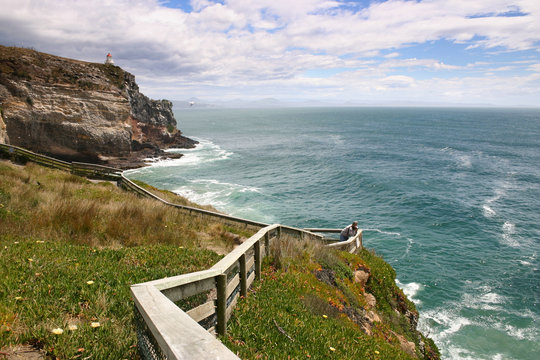 Cliffs on coastline, New Zealand