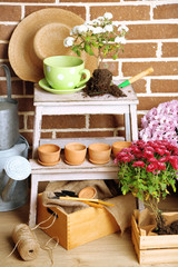 Flowers in pot