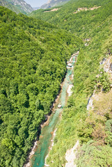 Canyon of River Tara, Montenegro