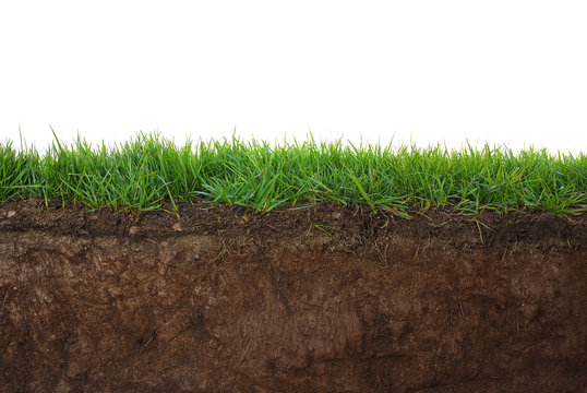 Fototapeta Grass and soil