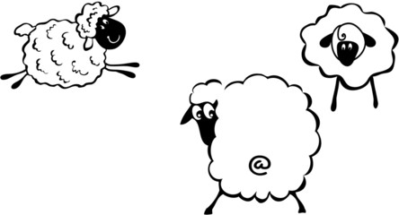 Obraz premium Cartoon Sheep