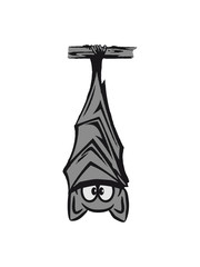 bat hanging