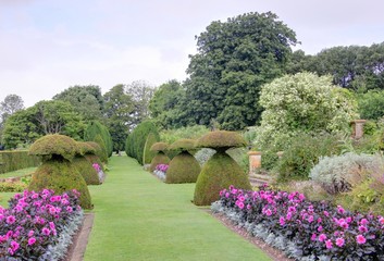 jardin anglais