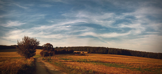 Way landscape in autumn