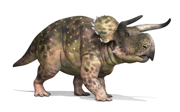 Nasutoceratops Imagens – Procure 41 fotos, vetores e vídeos