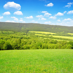 Fototapeta na wymiar Spring landscape in the national park Sumava - Czech Republic