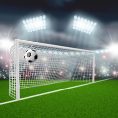 soccer ball flies into the goal
