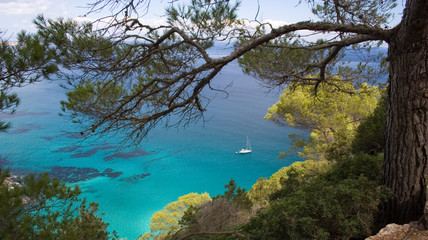 sailboat anchored