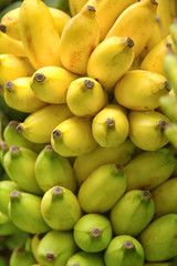 Bunch of bananas,background