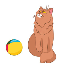 Cat and Ball - opposition