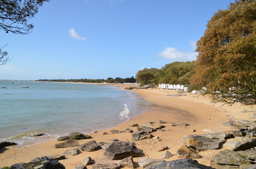 Obraz premium sableaux plage de Noirmoutier