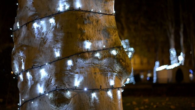 xmas lights on tree, zagreb