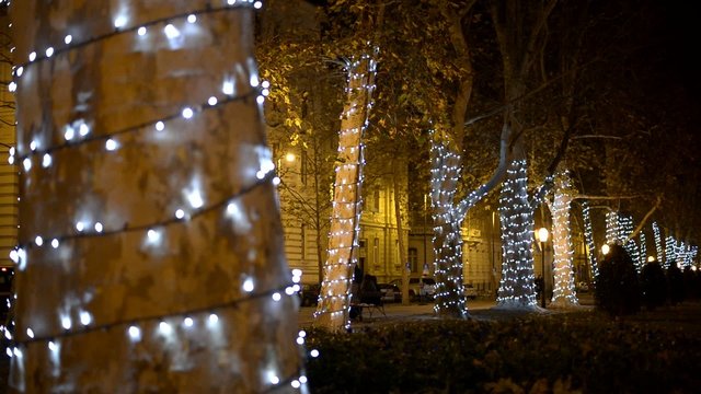 zrinjevac in december