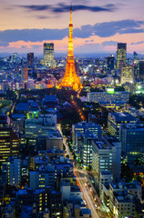 Obraz premium Tokyo city at night, Japan