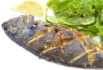 Roasted fish with salad and spice