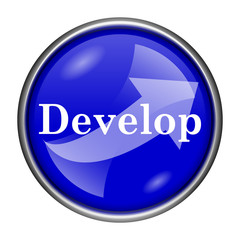 Develop icon
