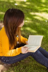 Obraz premium Relaxed female student reading book in park