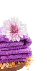 Fototapeta na wymiar purple towels and chrysanthemum flower isolated on white.
