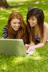 Happy relaxed women using laptop in park