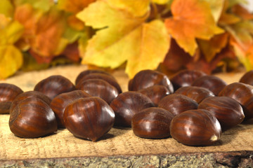 castagne