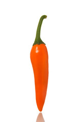 orange chili pepper isolated on white.