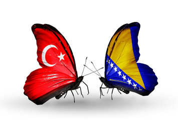Two butterflies with flags Turkey and Bosnia and Herzegovina