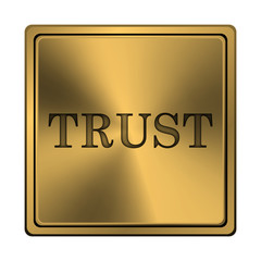 Trust icon