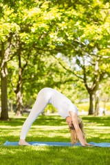 Fototapeta premium Peaceful blonde doing yoga in the park