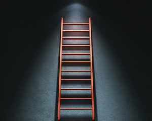 Career Ladder
