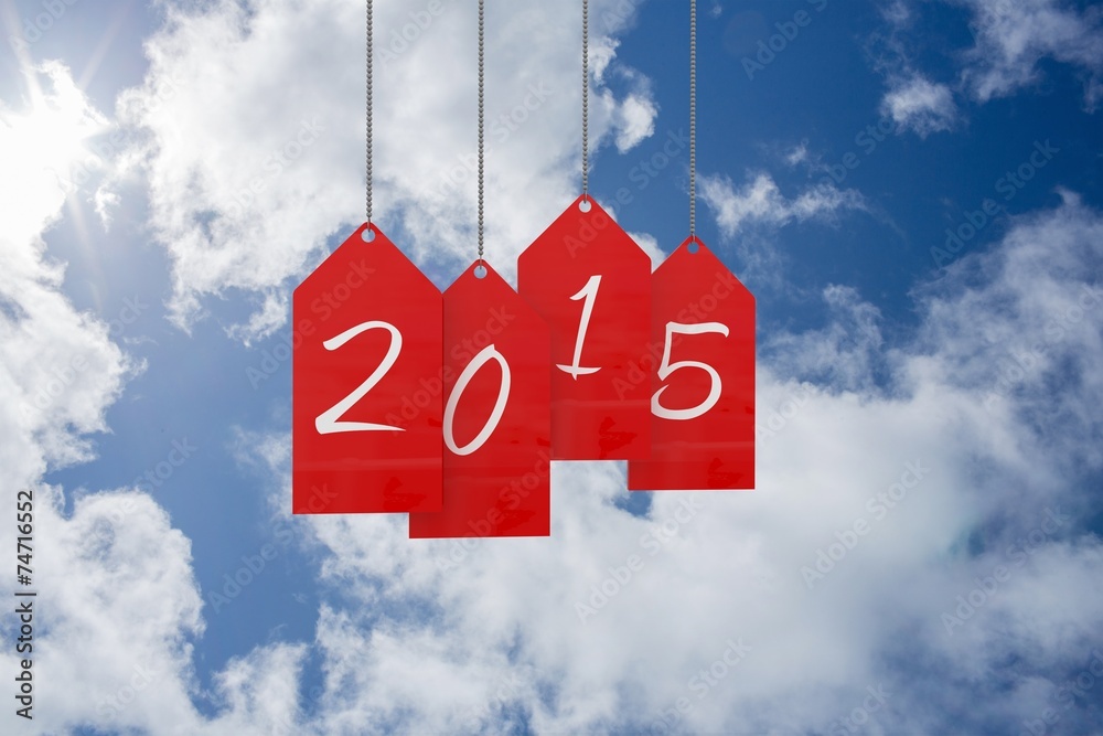 Poster Composite image of 2015 red tags