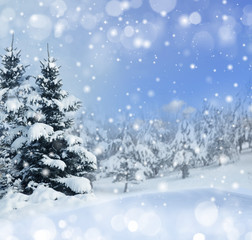 winter christmas background