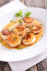 scallop