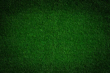 Cercles muraux Herbe Fond de champ d& 39 herbe verte, texture, motif