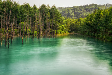 Blue Pond in national park taken during summer.