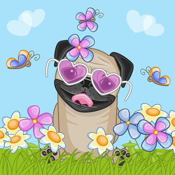 Pug Dog with flowers