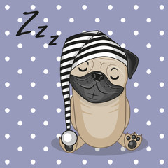 Sleeping Pug Dog