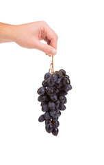 Black grapes in hand.