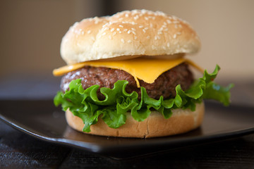 Hamburger