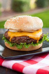 Cheeseburger