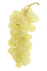 Grapes brunch closeup isolated on white background