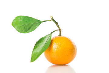 Orange fruit isolated