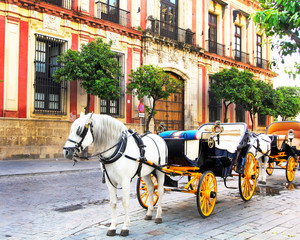 Fototapeta na wymiar Old horse drawn carriage at Seville street