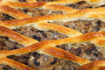 homemade pie with mushrooms